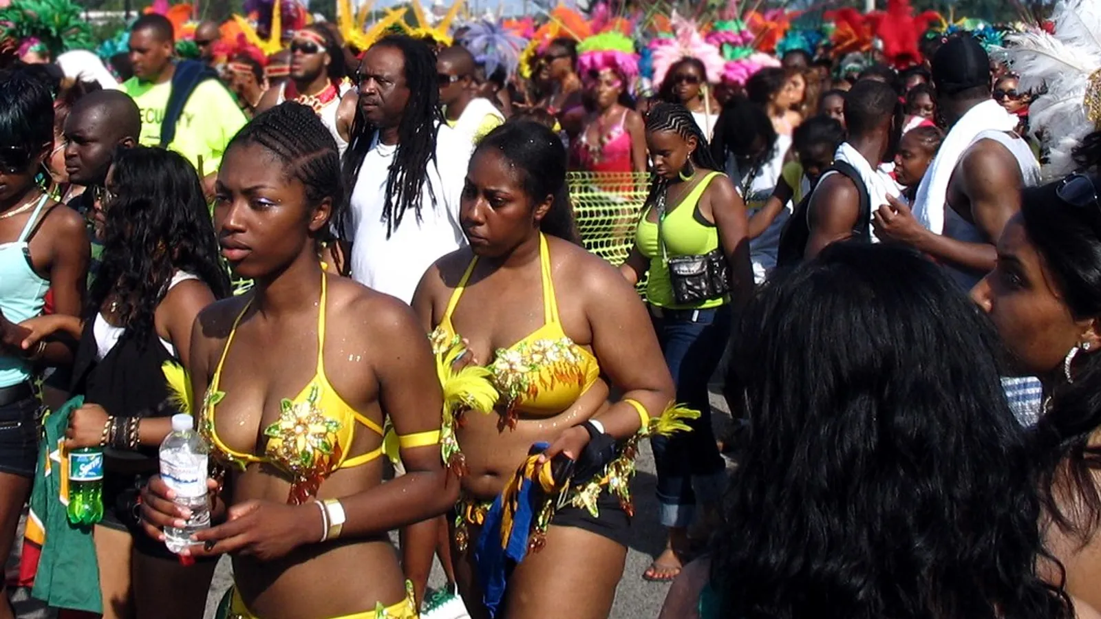The Caribbean Diaspora in Toronto